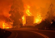 Ajuda às vítimas dos Incêndios – Junho 2017