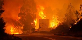 Ajuda às vítimas dos Incêndios – Junho 2017