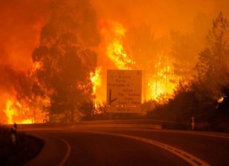 Ajuda às vítimas dos Incêndios – Junho 2017