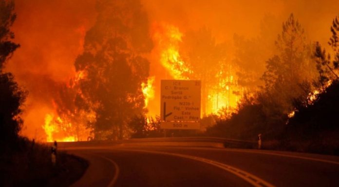 Ajuda às vítimas dos Incêndios – Junho 2017